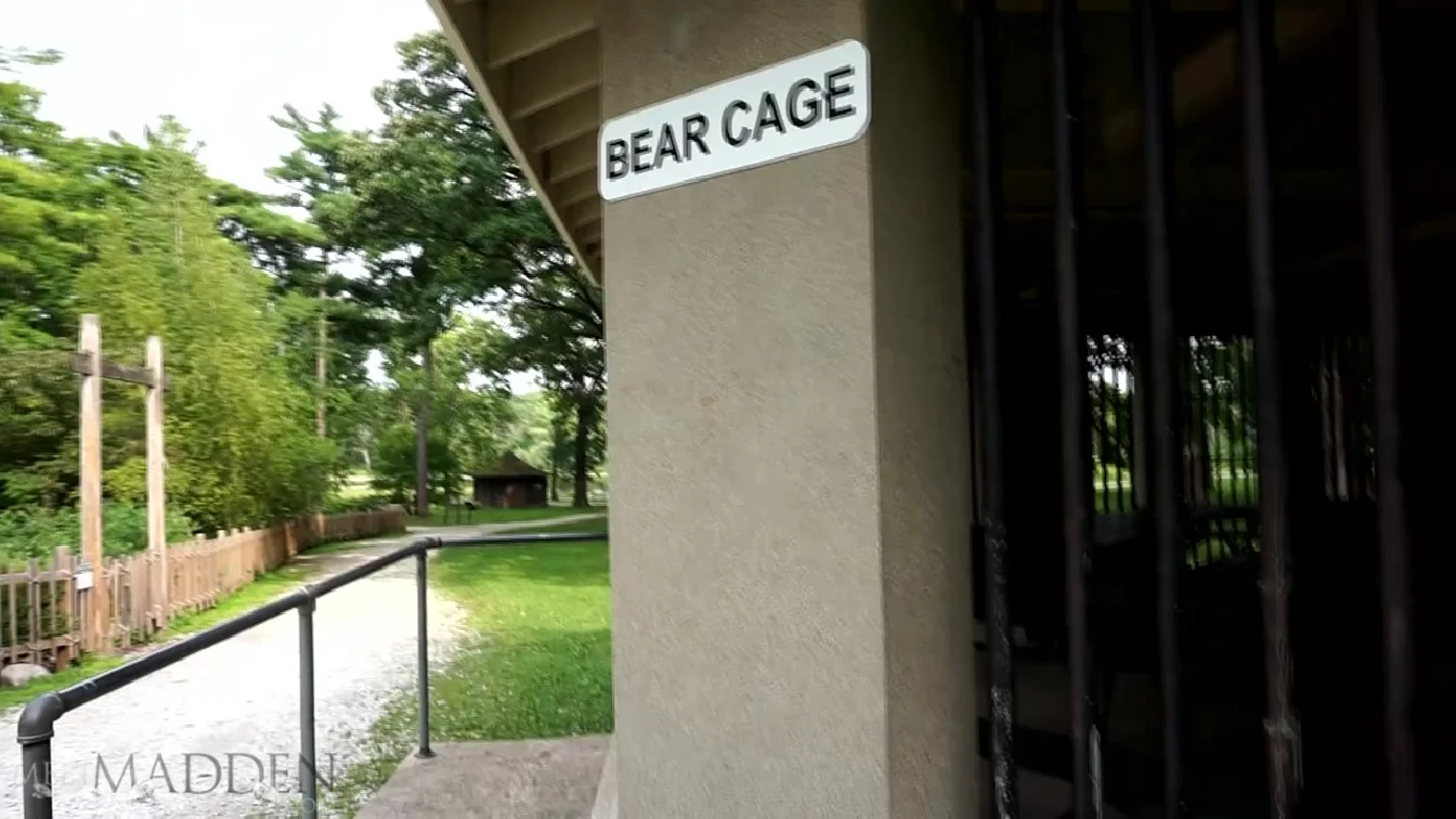 Preview of MeetMadden Bear Cage XXX